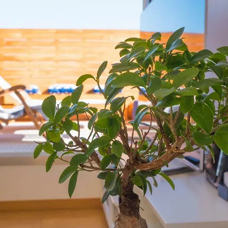 Apartamento The Italian Job - Jacuzzi Penthouse Bolonia